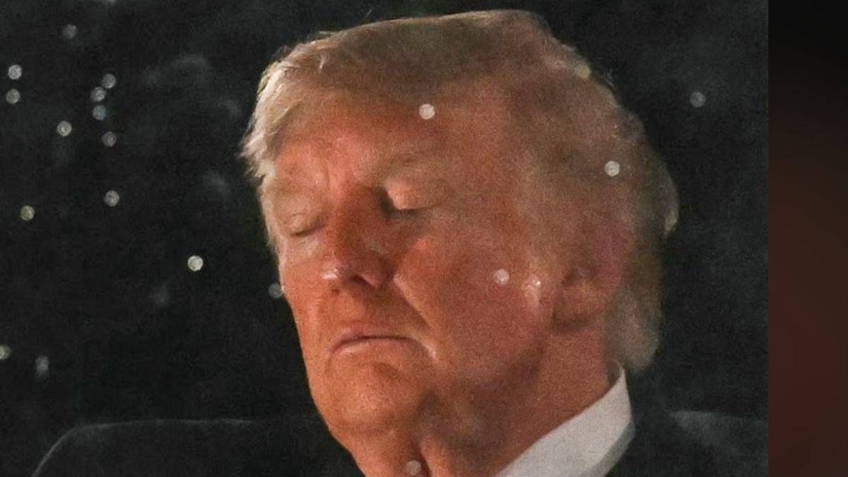 850,000 Fireworks Prove No Match for One Determined Nap