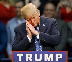 Witnesses Stunned by Apparent Vertical Nap at Rally